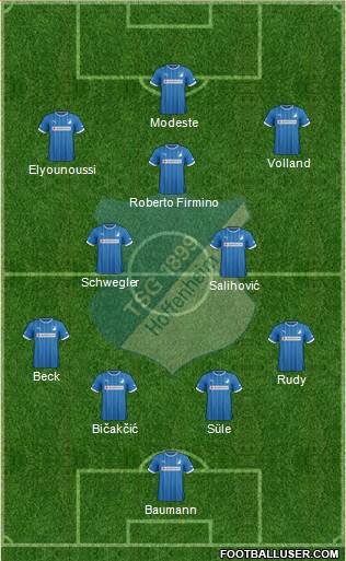 TSG 1899 Hoffenheim Formation 2014