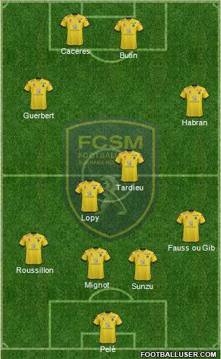 FC Sochaux-Montbéliard Formation 2014