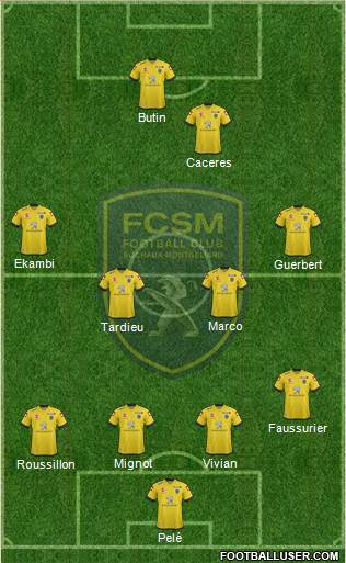 FC Sochaux-Montbéliard Formation 2014