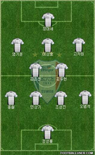 Suwon Samsung Blue Wings Formation 2014