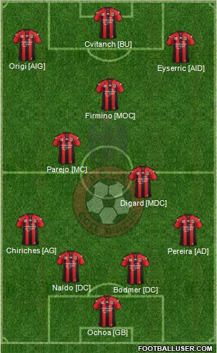 OGC Nice Côte d'Azur Formation 2014