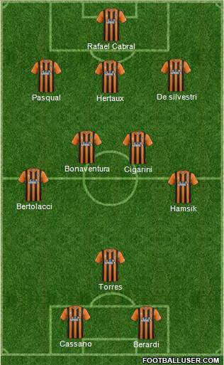 Hull City Formation 2014