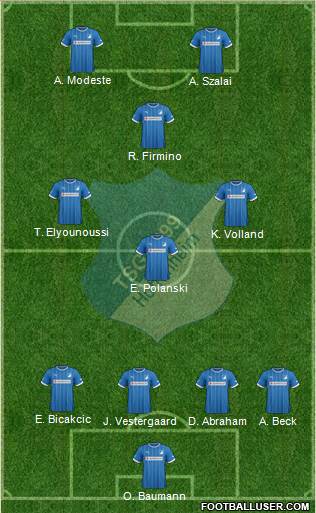 TSG 1899 Hoffenheim Formation 2014