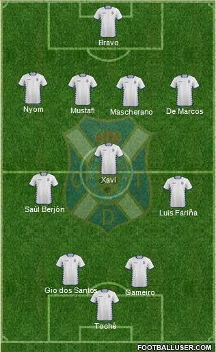 C.D. Tenerife S.A.D. Formation 2014