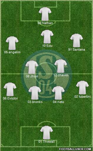 FC Schalke 04 Formation 2014