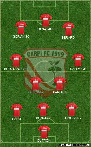 Carpi Formation 2014