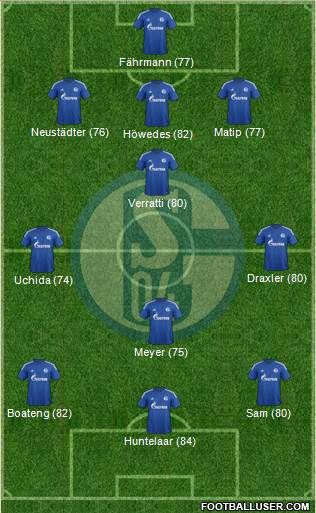 FC Schalke 04 Formation 2014