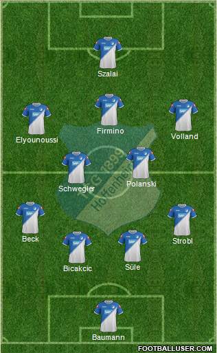 TSG 1899 Hoffenheim Formation 2014