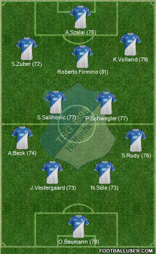 TSG 1899 Hoffenheim Formation 2014