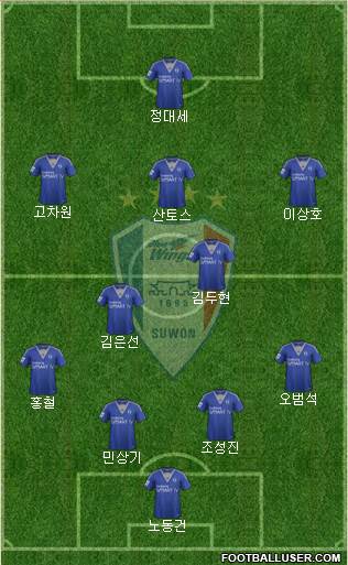 Suwon Samsung Blue Wings Formation 2014