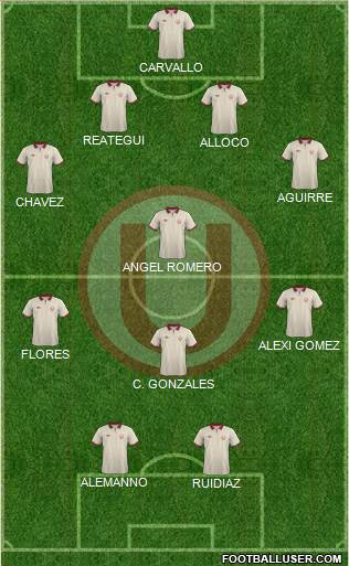 C Universitario D Formation 2014