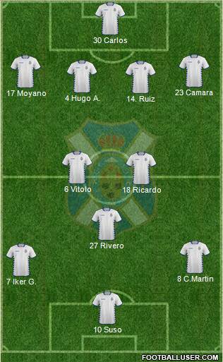 C.D. Tenerife S.A.D. Formation 2014