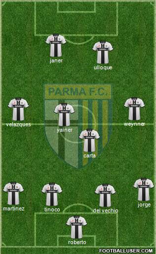 Parma Formation 2014