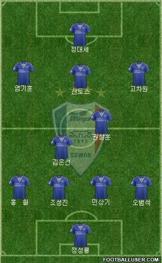 Suwon Samsung Blue Wings Formation 2014