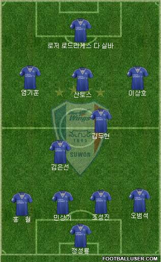 Suwon Samsung Blue Wings Formation 2014