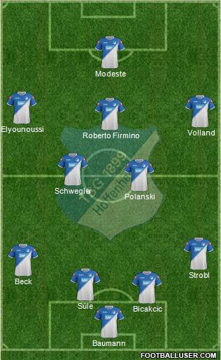 TSG 1899 Hoffenheim Formation 2014