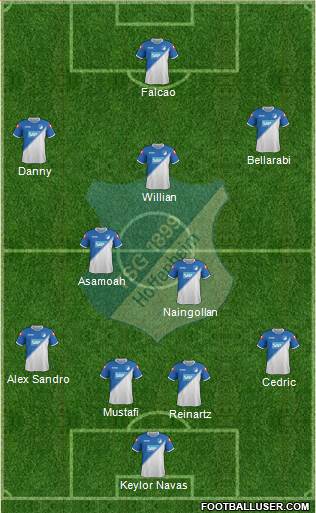 TSG 1899 Hoffenheim Formation 2014