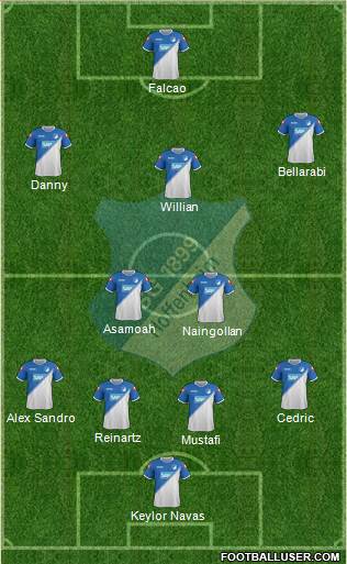 TSG 1899 Hoffenheim Formation 2014