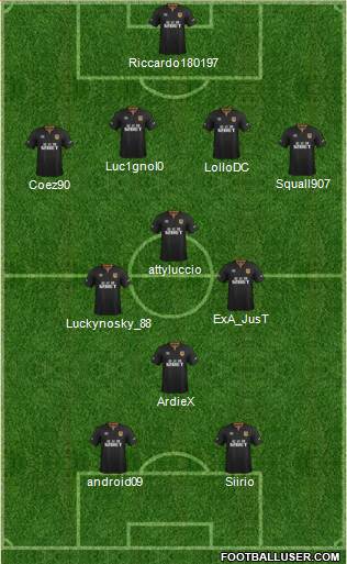 Hull City Formation 2014