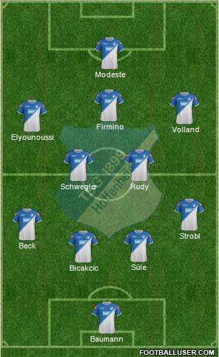 TSG 1899 Hoffenheim Formation 2014