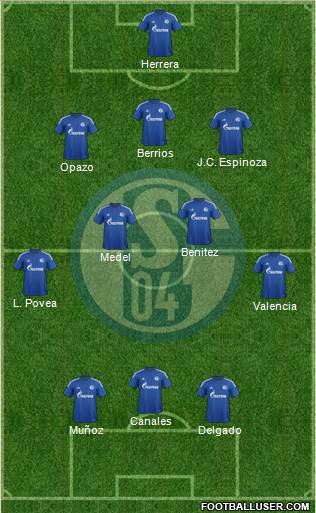 FC Schalke 04 Formation 2014