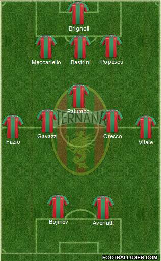 Ternana Formation 2014