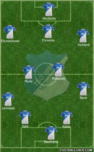 TSG 1899 Hoffenheim Formation 2014