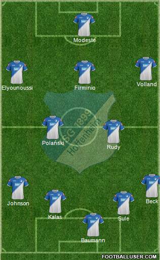 TSG 1899 Hoffenheim Formation 2014