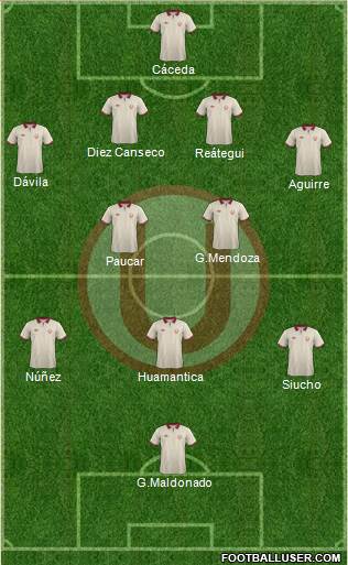 C Universitario D Formation 2014