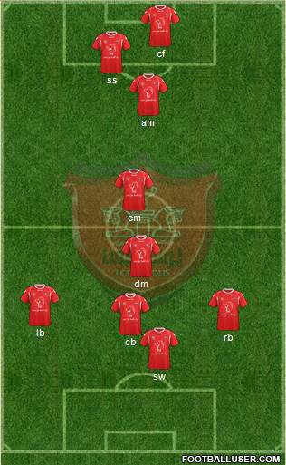 Persepolis Tehran Formation 2014