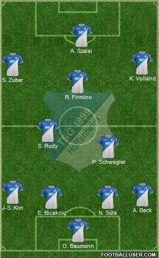 TSG 1899 Hoffenheim Formation 2014