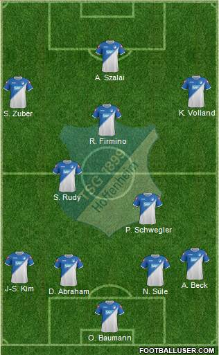 TSG 1899 Hoffenheim Formation 2014