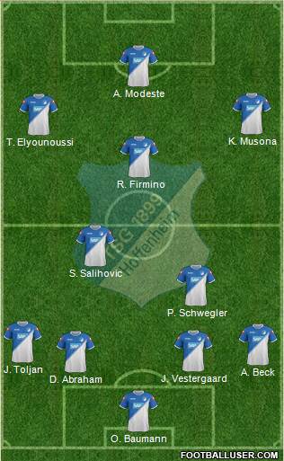 TSG 1899 Hoffenheim Formation 2014