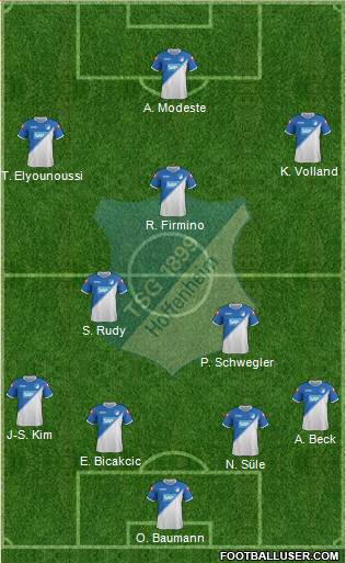 TSG 1899 Hoffenheim Formation 2014