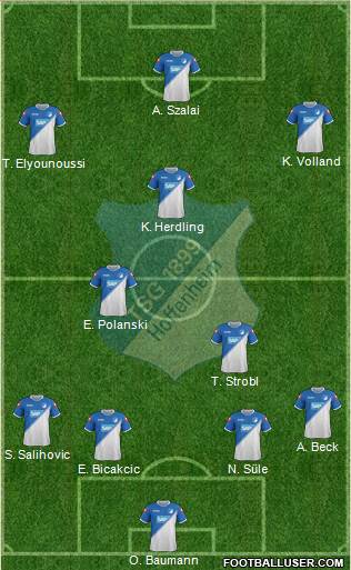 TSG 1899 Hoffenheim Formation 2014