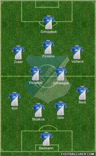 TSG 1899 Hoffenheim Formation 2014