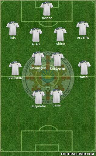 FC Gagra Formation 2014