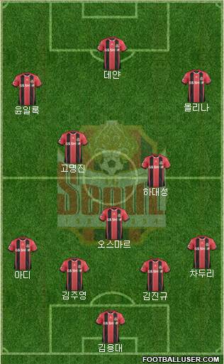 FC Seoul Formation 2014