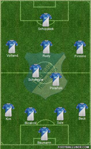 TSG 1899 Hoffenheim Formation 2014