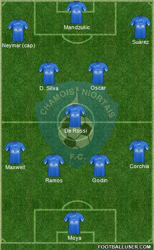 Chamois Niortais Football Club Formation 2014