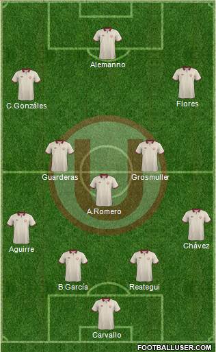 C Universitario D Formation 2014