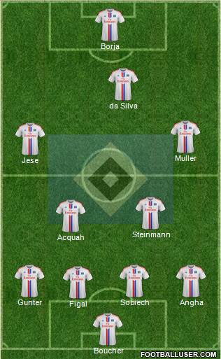 Hamburger SV Formation 2014