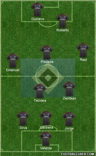 Hamburger SV Formation 2014