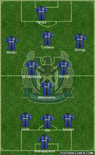 Gamba Osaka Formation 2014