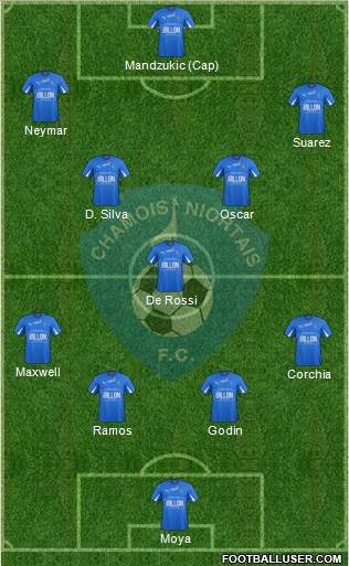 Chamois Niortais Football Club Formation 2014