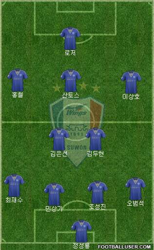 Suwon Samsung Blue Wings Formation 2014