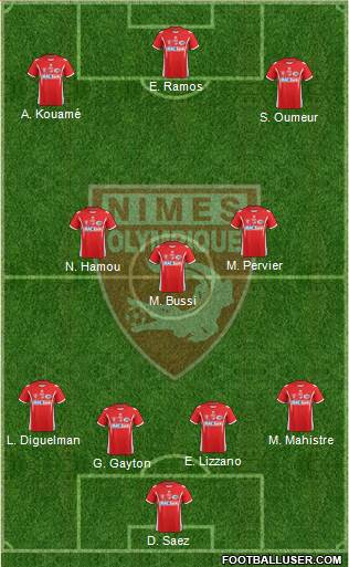 Nîmes Olympique Formation 2014