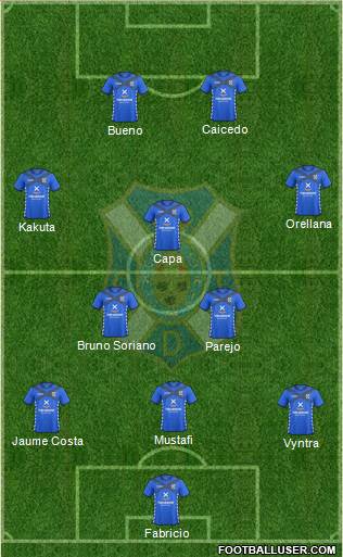 C.D. Tenerife S.A.D. Formation 2014