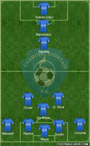 Chamois Niortais Football Club Formation 2014