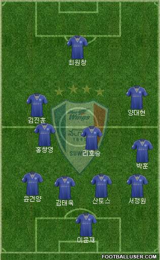 Suwon Samsung Blue Wings Formation 2014